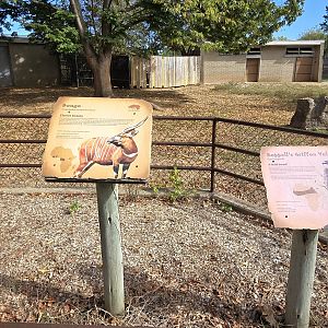Africa - Multi-species habitat