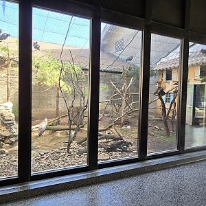 Africa - Birds of north Africa (inside the giraffe house)