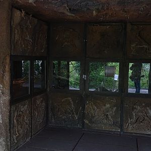 Beaver indoor enclosure