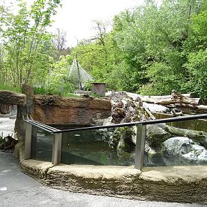 Beaver/merganser enclosure