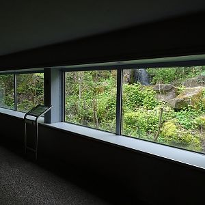 Brown bear enclosure