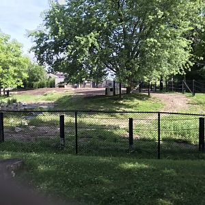 Indian Rhino exhibit viewing from the Zoomobile