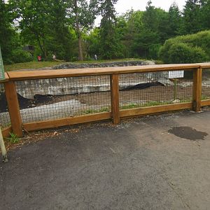 Goose camp, now a flower bed