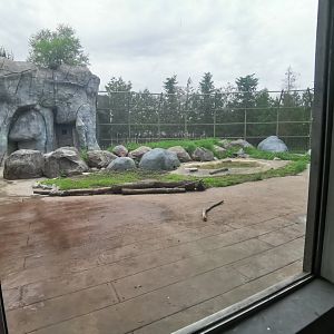 Third exhibit for the polar bear