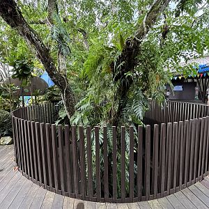 Cool fence around tree canopy