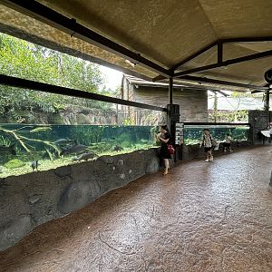 Gorgeous outdoor fish tanks