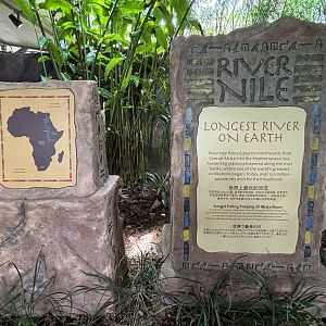 River Nile Signs