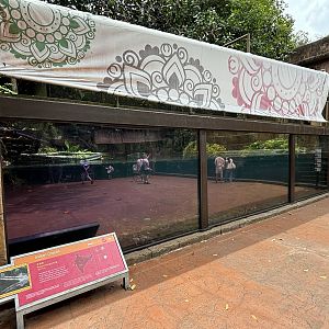 Indian Gharial Exhibit - with glare