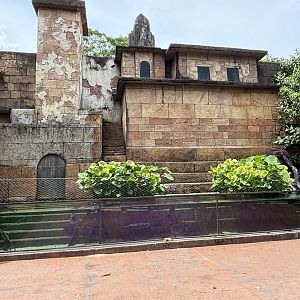 Ganges River Tank (5 species)