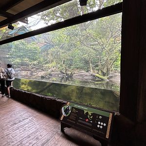 Mekong River - Lion-tailed Macaque Exhibit