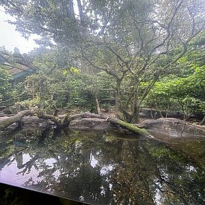 Mekong River - Lion-tailed Macaque Exhibit