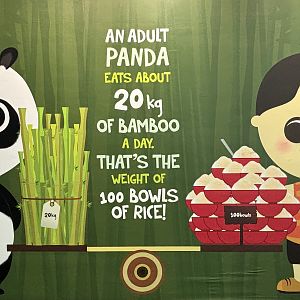 Giant Panda Exhibit - sign