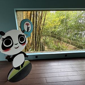 Giant Panda Exhibit - outdoor yard