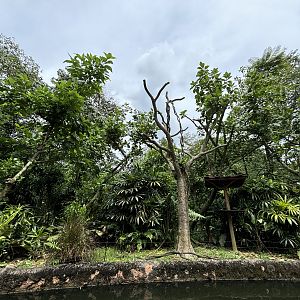 Amazon River Quest - Tufted Capuchin Exhibit