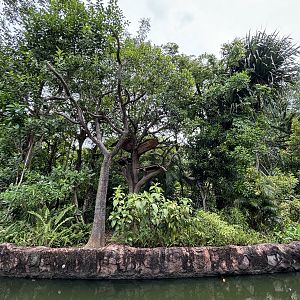 Amazon River Quest - Spider Monkey Exhibit