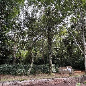 Amazon River Quest - Guanaco Exhibit