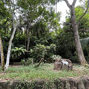 Amazon River Quest - Mara Exhibit