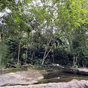 Amazon River Quest - South American Tapir Exhibit