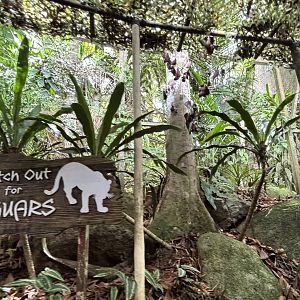 Amazon River Quest - Jaguar Sign