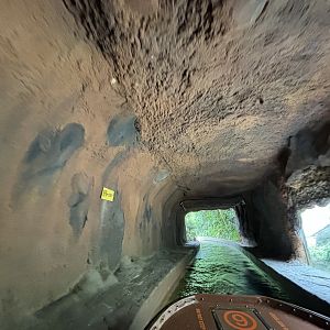 Amazon River Quest - Jaguar Exhibit Tunnel