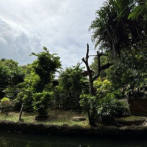 Amazon River Quest - Black Howler Monkey Exhibit