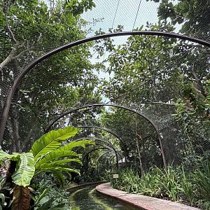 Amazon River Quest - Primate Tunnel
