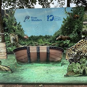 Amazon River Quest - Photo Opportunity