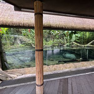 Green Anaconda Exhibit