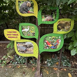 Amazonia Encounters - animal signs