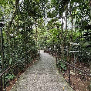 Amazonia Encounters - walk-through jungle exhibit