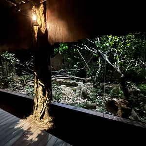 Sunda Pangolin/Small-toothed Palm Civet/Leopard Cat Exhibit