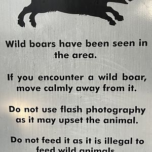 Lower Peirce Reservoir