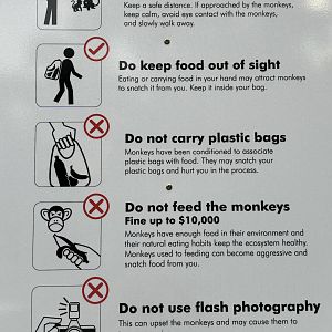 Lower Peirce Reservoir