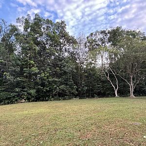 Lower Peirce Reservoir - early morning hike