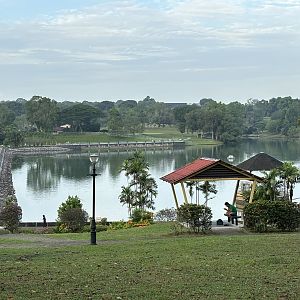 Lower Peirce Reservoir