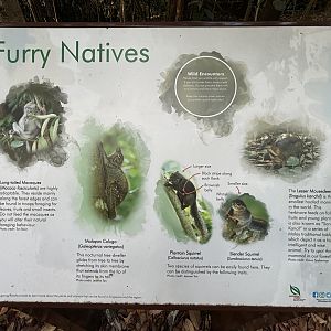 Lower Peirce Reservoir