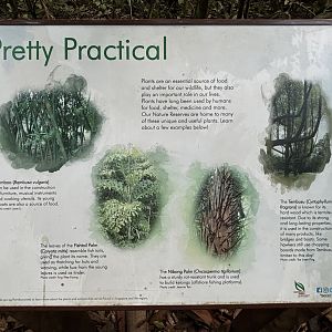 Lower Peirce Reservoir