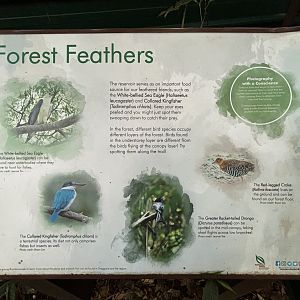 Lower Peirce Reservoir