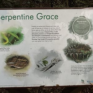 Lower Peirce Reservoir