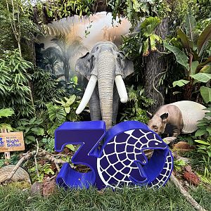 30 Year Anniversary Display