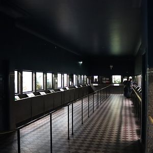 Vivarium - 6th July 2024