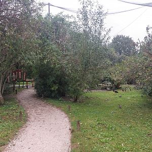 African bird walkthrough