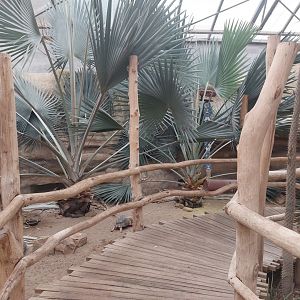 Madagascar walkthrough