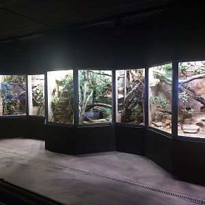 Terraria for assorted African venomous snakes