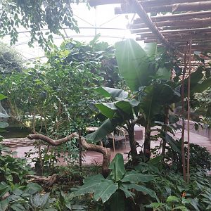 Reptile house -rainforest hall