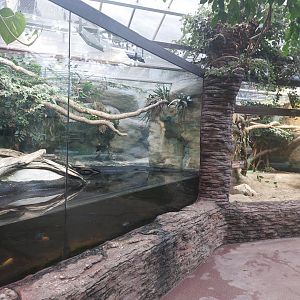 Forest cobra & savanna monitor lizard terraria