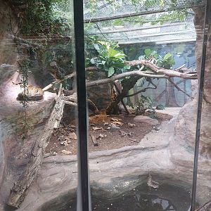 African rock python enclosure