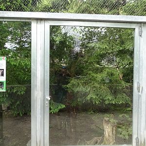 European wildcat enclosure