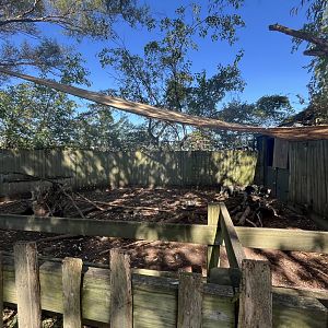 African Crested Porcupine Habitat