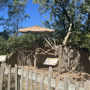 Macaw Habitat